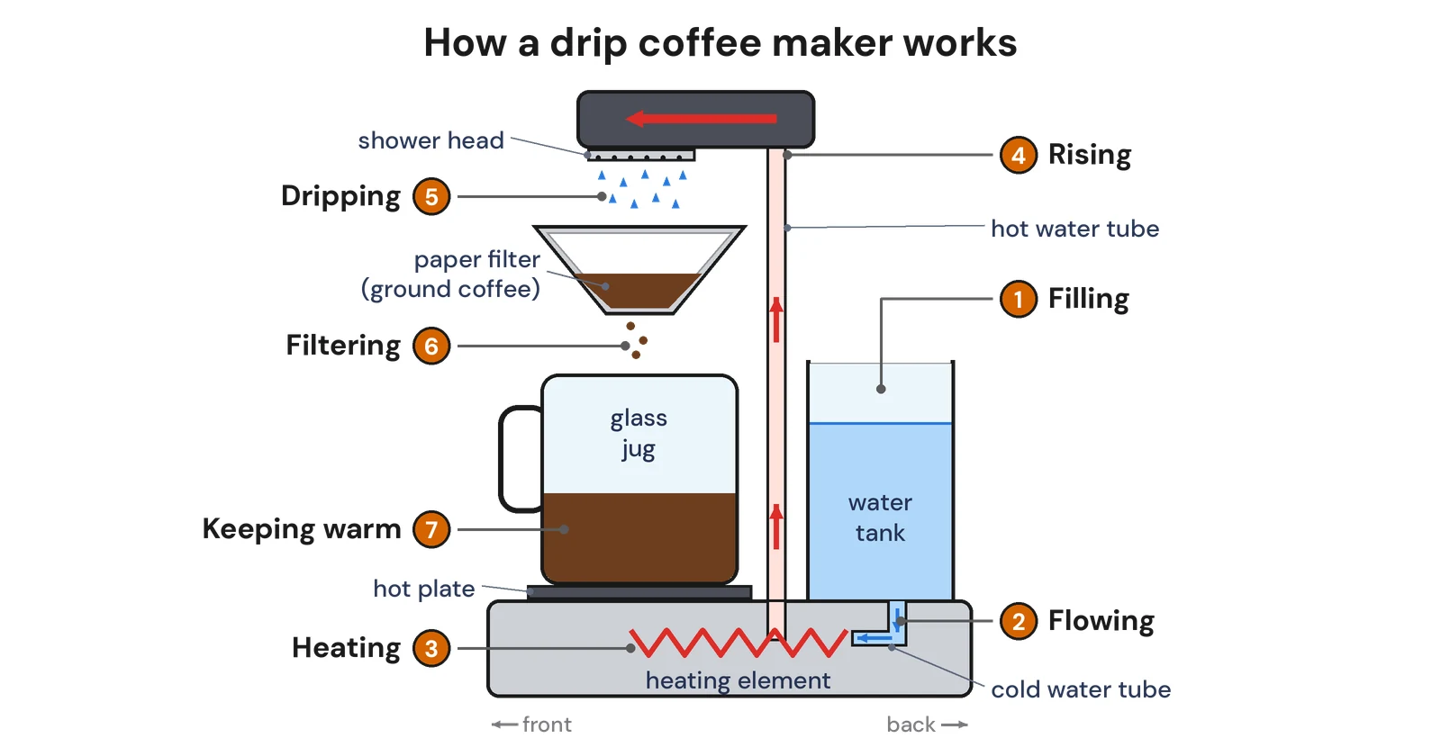 Diagram of how a drip coffee maker works, side view. Seven numbered stages: 1 Filling (water tank at the back), 2 Flowing (cold water tube), 3 Heating (heating element in the base), 4 Rising (hot water tube), 5 Dripping (shower head at the top), 6 Filtering (paper filter with ground coffee), 7 Keeping warm (glass jug on the hot plate).